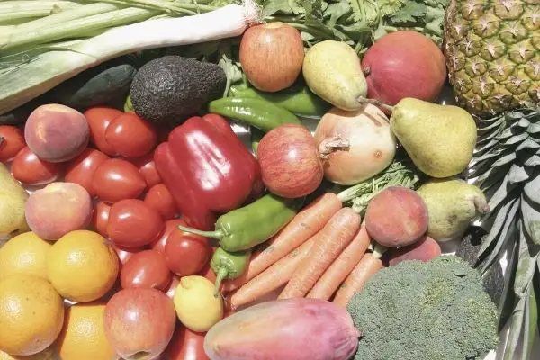 Frutas e verduras da estação - como montar um cardápio semanal simples para a família