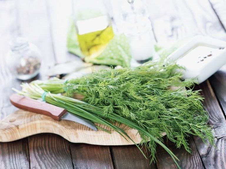 Dill, endro ou como usar este tempero