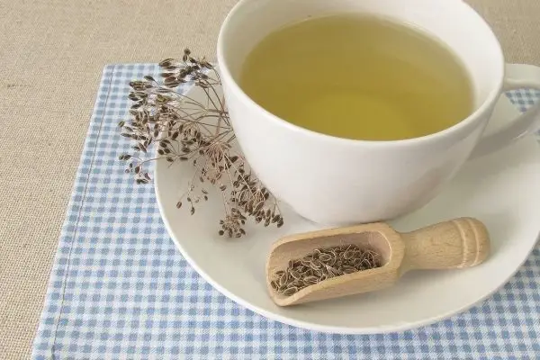 Xícara de chá de endro e sementes
