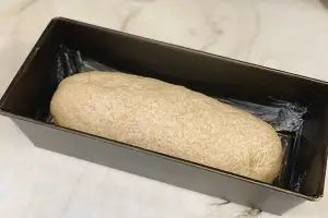 pão integral antes de assar