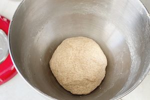 Pão integral - massa na tigela antes de crescer