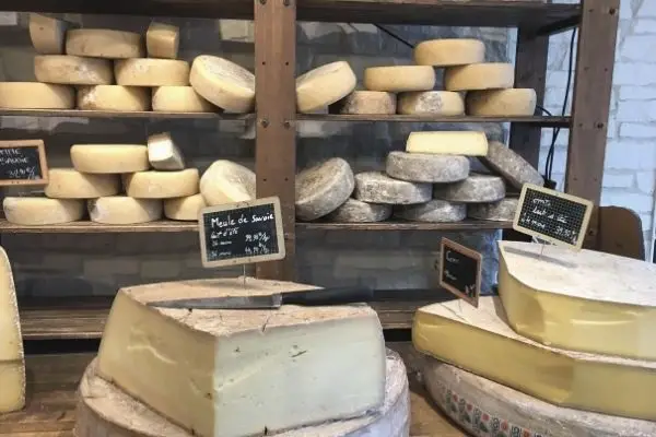 banca de queijos franceses - diversos tipos de queijo

