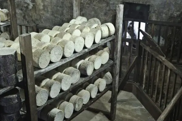Produção artesanal do queijo Roquefort - tipos de queijo com denominação de origem controlada
