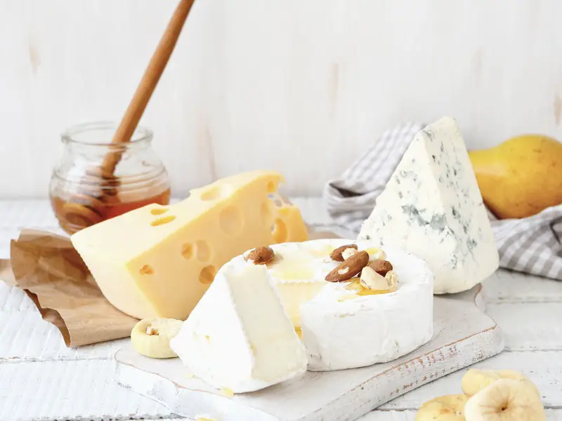 Como cortar queijo - tábua de queijos
