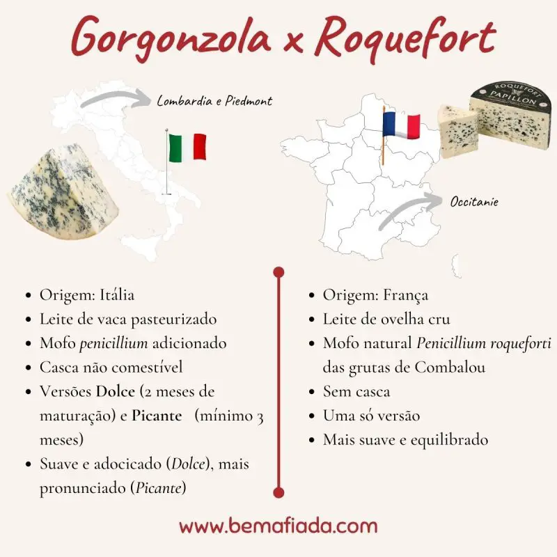 Diferenças entre os queijos Gorgonzola e Roquefort