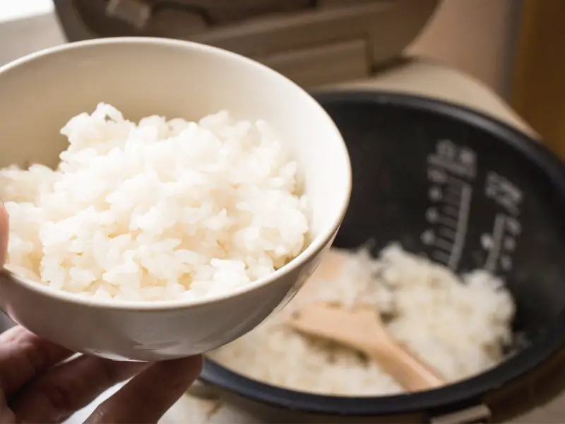 Panela de arroz elétrica
