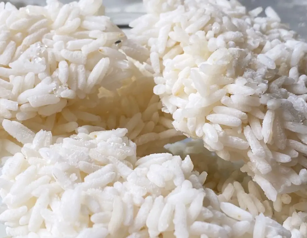 Como congelar arroz 
