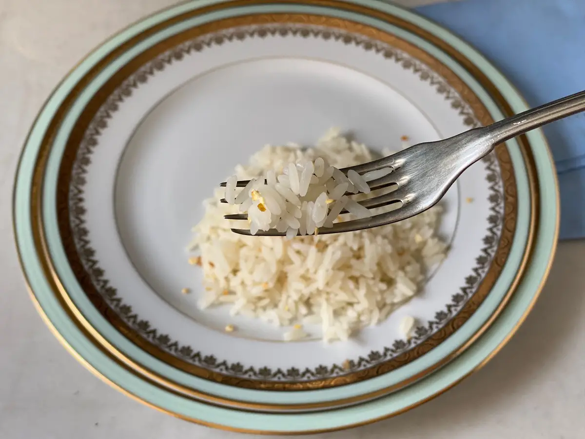 Garfo com porção de arroz parboilizado