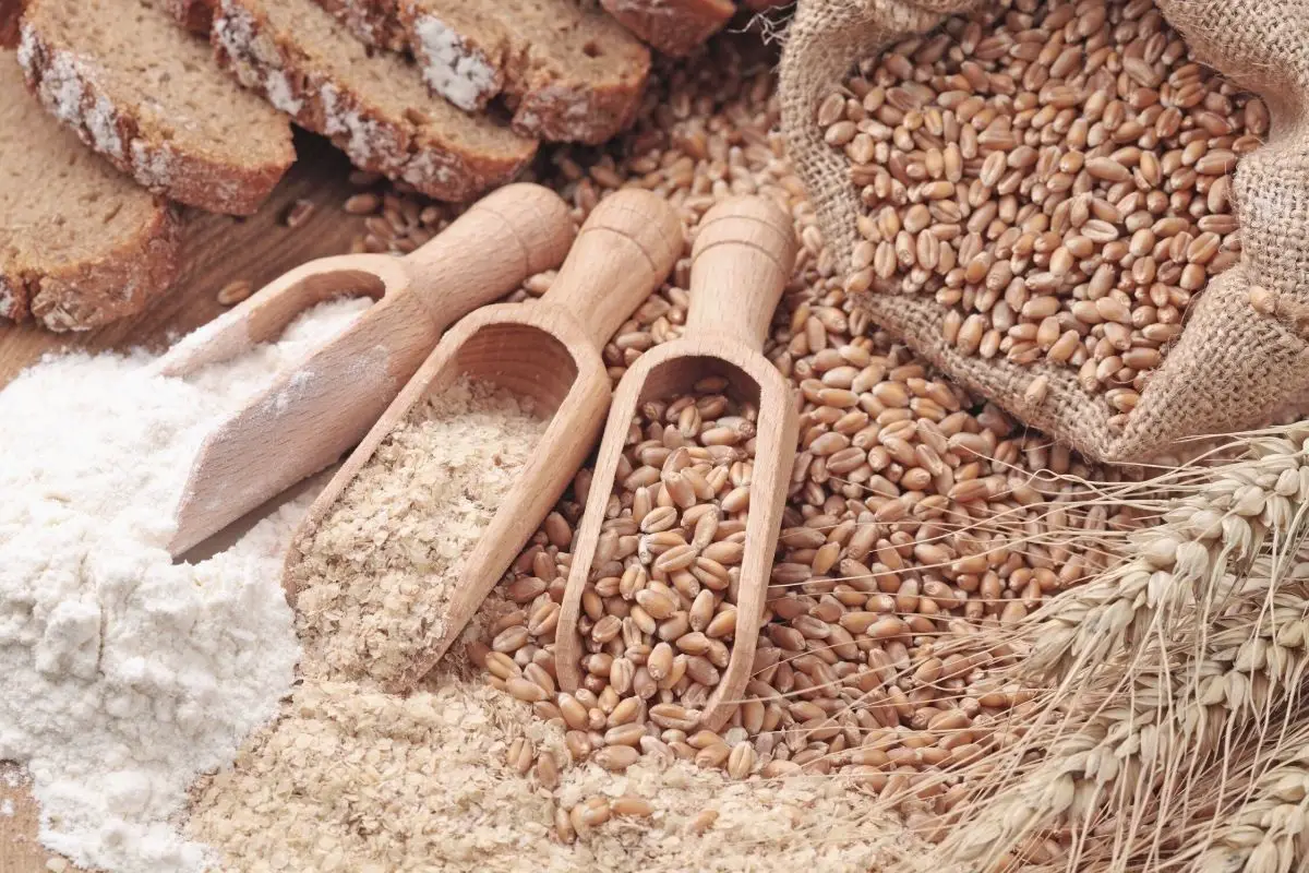 Grãos de trigo, farelo e farinha de trigo