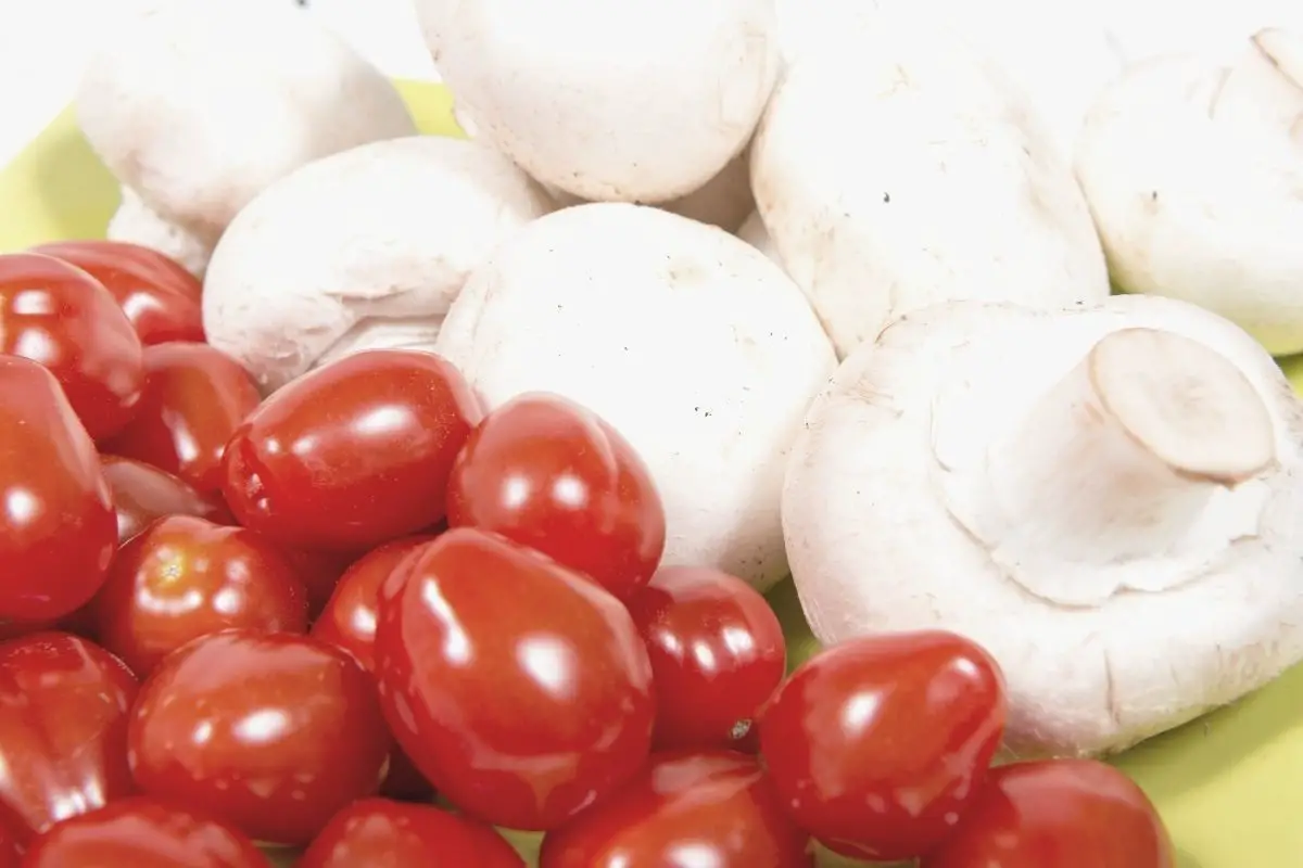 Tomates cereja e cogumelos de paris