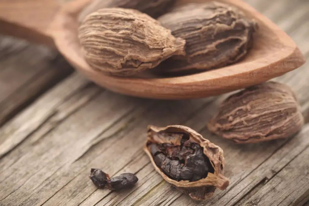 Cápsulas e sementes de cardamomo preto