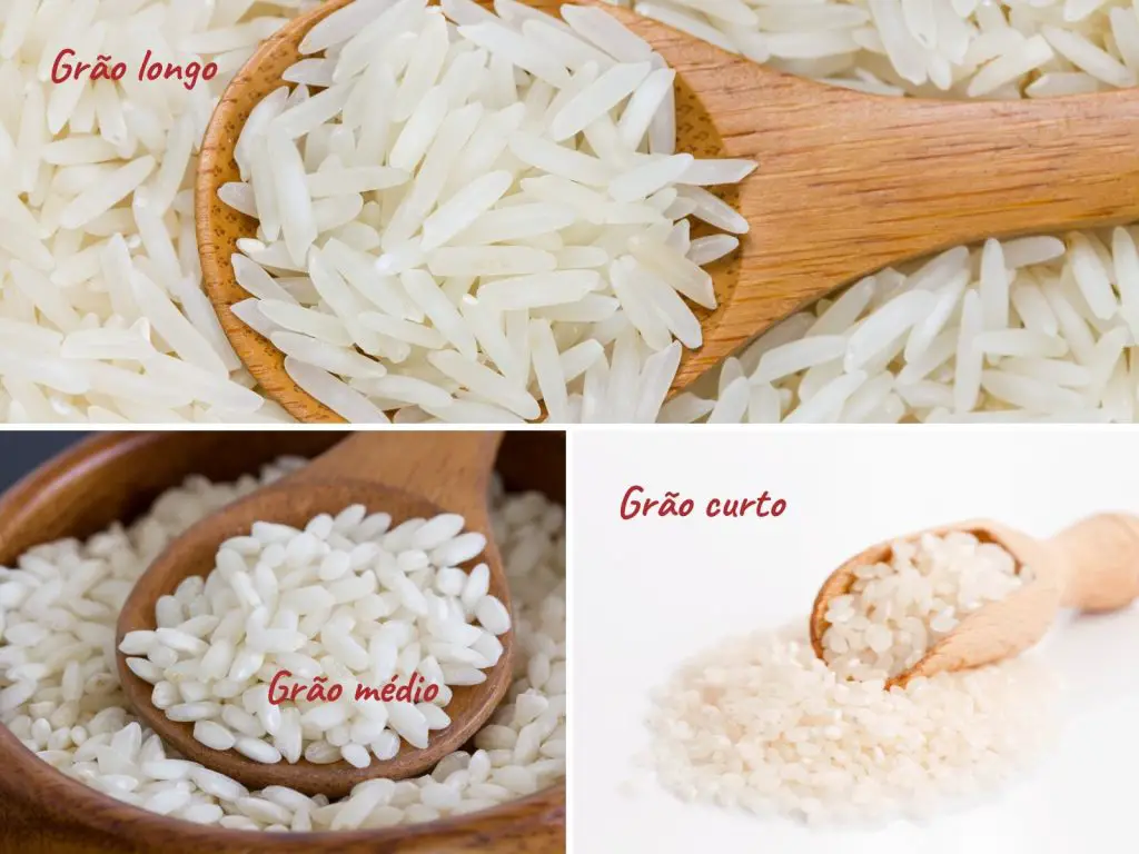 Arroz de grão longo, médio e curto