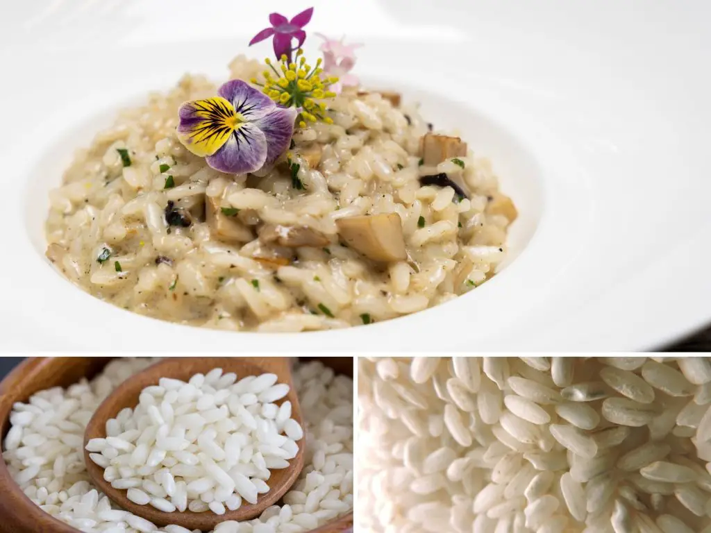 Risotto cremoso - arroz arborio e carnaroli
