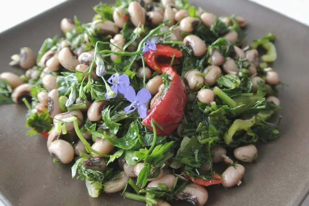 Salada de feijão fradinho